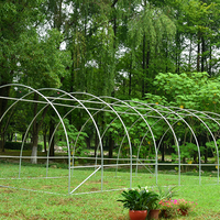 Solar/Sera Micul Fermier 8x3x2m , polietilena, densitate 140g/mp UV4