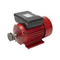 Motor electric Micul Fermier 2.5KW, 3000 rpm, carcasa fonta