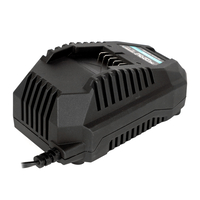 Incarcator rapid, Detoolz, pentru acumulator 20V, incarcare 4.5A/h