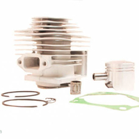 Set motor complet 44mm pentru motocositoare