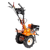 Motocultor Detoolz 8.5cp 212cc, benzina 4T, 3 viteze, pornire manuala, cu roti