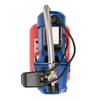Hidrofor AUTO-JET DP550 Micul Fermier