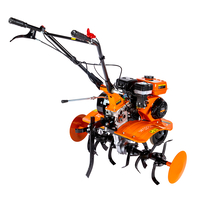 Motocultor Detoolz 8CP 212CC, benzina, 4T, 3 viteze, pornire manuala, fara roti
