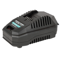 Incarcator rapid, Detoolz, pentru acumulator 20V, incarcare 4.5A/h