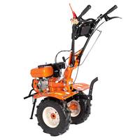 Motocultor Detoolz 8.5cp 212cc, benzina 4T, 3 viteze, pornire manuala, cu roti