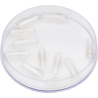 Kryolan Gelatin Capsules - Capsule din gelatină pentru sânge fals - 20 bucăți