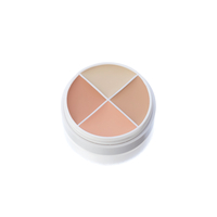 Ben Nye Tattoo Cover-All Wheel Small – Paletă de creme corectoare pentru acoperirea și neutralizarea tatuajelor - NK-1