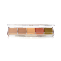 Ben Nye Concealer & Adjuster Alcohol Palette AAP-23 – Paletă profesională corectoare waterproof