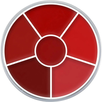 Kryolan Lip Rouge Wheel - Paletă de rujuri cu 6 nuanțe