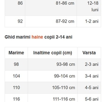 Set Mickey Mouse pentru copii