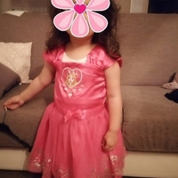 Rochita Printesa Disney roz