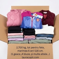 Lot Toamnă-Iarnă Fetiță 6 ani (110-116 cm) – 15 Piese de Brand (H&M, Disney, Palomino) + GEACĂ L&D INCLUSĂ
