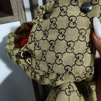 Geaca The North Face Gucci