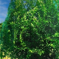 Plasa anti pasari 8x20m din polietilena, cu pini de fixare, verde