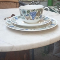 Set porțelan fin Bavaria Germania