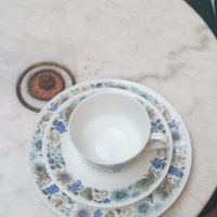 Set porțelan fin Bavaria Germania