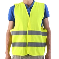 Kit siguranta auto obligatoriu R.A.R - Stingator cu Manometru