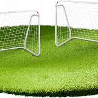 Set 2 porti de fotbal metalice, 96x124cm, profil 28mm, cu elemente de fixare