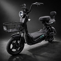 Scuter Electric KG, Saige, Fara Permis, Motor 500W, Baterie 48V20Ah, Autonomie 60km, 153x40x85 cm, Viteza Maxima 25km/h, Negru