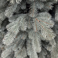 Brad artificial Christmas Deluxe by Sersimo, Kovalivka Select argintiu, integral 3D, 230 cm