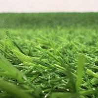 Covor Iarba Artificiala, Tip Gazon, Verde, 20 mm, 5 mp, 100×500 cm