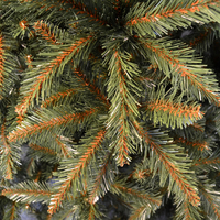 Brad artificial Christmas Deluxe by Sersimo, Royal, 150cm