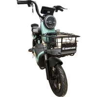 Scuter Electric KG, Saige, Fara Permis, Motor 500W, Baterie 48V20Ah, Autonomie 60km, 153x40x85 cm, Viteza Maxima 25km/h, Verde