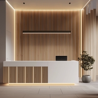 Set iluminare led pentru riflaje MDF, varianta II, 2 lampi x 1 metru, 520 lm, 5.6W, telecomanda