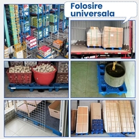 Palet de Transport, Flippy, 40 x 40 x 10 cm, din Plastic durabil, Palet pentru Stivuitor in Depozit, Rezistent la Umiditate, Grila Ingrosata, 5 Picioare, Albastru
