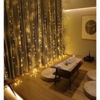 Instalatie Craciun, Tip Perdea, IP44, 2 m x 2 m, 240 LED-uri, Alb cald, cu flash, Transformator cu telecomanda, Interconectabila, Prelungitor 5 m inclus, Fir transparent, Interior/ Exterior, Vafy