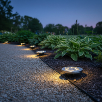 Set 4 lampi solare sol gradina cu 8 LED fiecare, iluminare alei, otel inoxidabil si plastic, 12x12x2 cm, argintiu