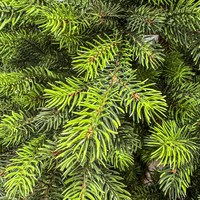Brad artificial Sersimo, Hollandia, verde cu varfuri verzi, integral 3D, 250 cm