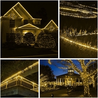 Instalatie Craciun, 100 m, 2400 Led-uri ,Furtun Luminos, Alb cald, 8 jocuri de lumini, Transformator, Sectionabila, 220 V, Vafy