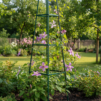 Pergola gradina piramidala pentru plante cataratoare, structura otel, 31x31x200 cm, verde inchis