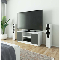 Comoda TV cu 2 usi si o polita, PAL laminat 16 mm, 120x40x55 cm, alb si gri