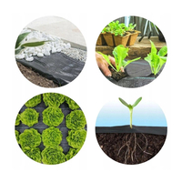 Folie agrotextil, mulcire, antiburuieni, filtru UV, 10 x 1 metru, 50g/m2, negru