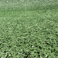 Covor Iarba Artificiala, Tip Gazon, Verde, 10 mm, 10 mp, 200×500 cm