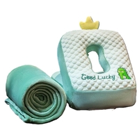 Set 2in1 Patura Microfibra si Perna din Spuma, Vafy, pentru Birou, Calatorii, Pauze, Model Dinozaur, Microfibra, 1x1.7 m, 30x35x30 cm, Verde