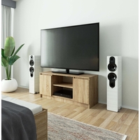 Comoda TV cu 2 usi si o polita, PAL laminat 16 mm, 120x40x55 cm, stejar sonoma