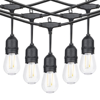 Ghirlanda Luminoasa, Flippy, cu Transformator, 10 m, 10 LED-uri Model Bulb, Interconectabila, IP44, Alb Cald