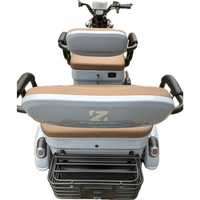 Triciclu Electric V6, Saige, Fara Permis, cu Doua Locuri, Motor 1800W, Baterie 72V24Ah, Autonomie 60km, 220x88x105 cm, Viteza Maxima 25km/h, Gri OldStyle