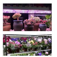 Lampa dubla pentru cresterea plantelor Flippy, 50 cm, T5, tehnologie LED, nu afecteaza plantele, potrivit pentru intregul ciclu de crestere