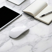 Mouse Wireless cu Gesturi, Vafy, Bluetooth + 2.4GHz, Reincarcabil USB, Ultra Subtire, 1600 DPI, Silentios, Design Elegant si Compact, Compatibil cu Laptop/PC, Telefon si Tableta, Ideal pentru Birou si Calatorii, Alb