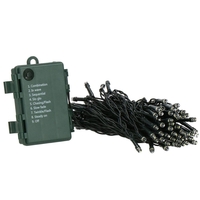 Instalatie lumini de exterior pentru gradina, 10 metri, 100 LED-uri, cu baterii, multicolor