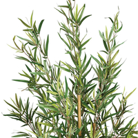 Planta artificiala Atmosphera Bambou cu ghiveci, bambus, 65x56x120 cm, verde