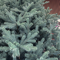 Brad artificial Christmas Deluxe by Sersimo, Viena Select argintiu, integral 3D, 250 cm