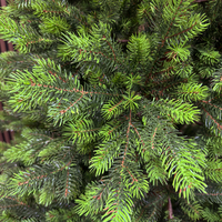 Brad artificial Sersimo, Hollandia, verde cu varfuri verzi, integral 3D, 210 cm