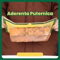 Capcana Autoadeziva pentru Soareci, Vafy, Placa Autoadeziva pentru Rozatoare cu Efect Puternic de Imobilizare, Capcana cu Lipici, pentru Uz Casnic, 19 x 13 xm Verde/Galben