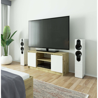 Comoda TV cu 2 usi si o polita, PAL laminat 16 mm, 120x40x55 cm, stejar artisan si alb