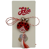 Martisor pentru copii, Jolie, Material Metal, Ambalaj Carton cu Design, Dimensiune Brosa Aproximativ 2x2 cm, Multicolor, Model Buburuza